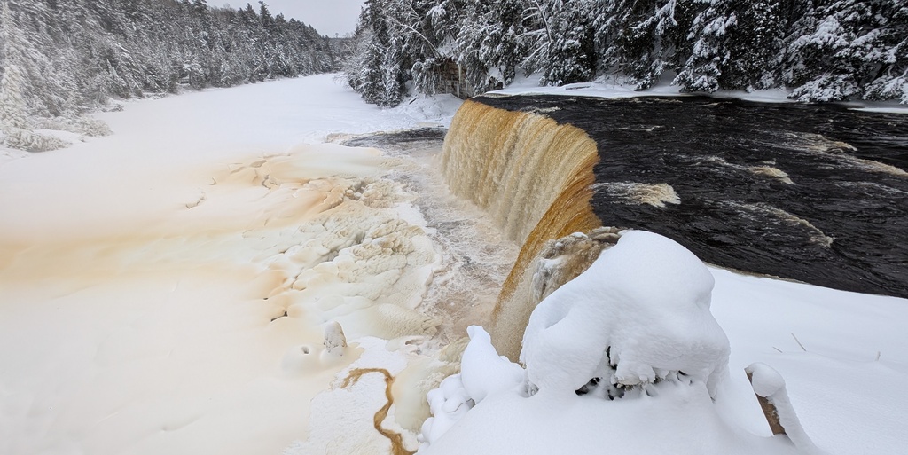 Real photograph taken with Google Pixel 8 Pro